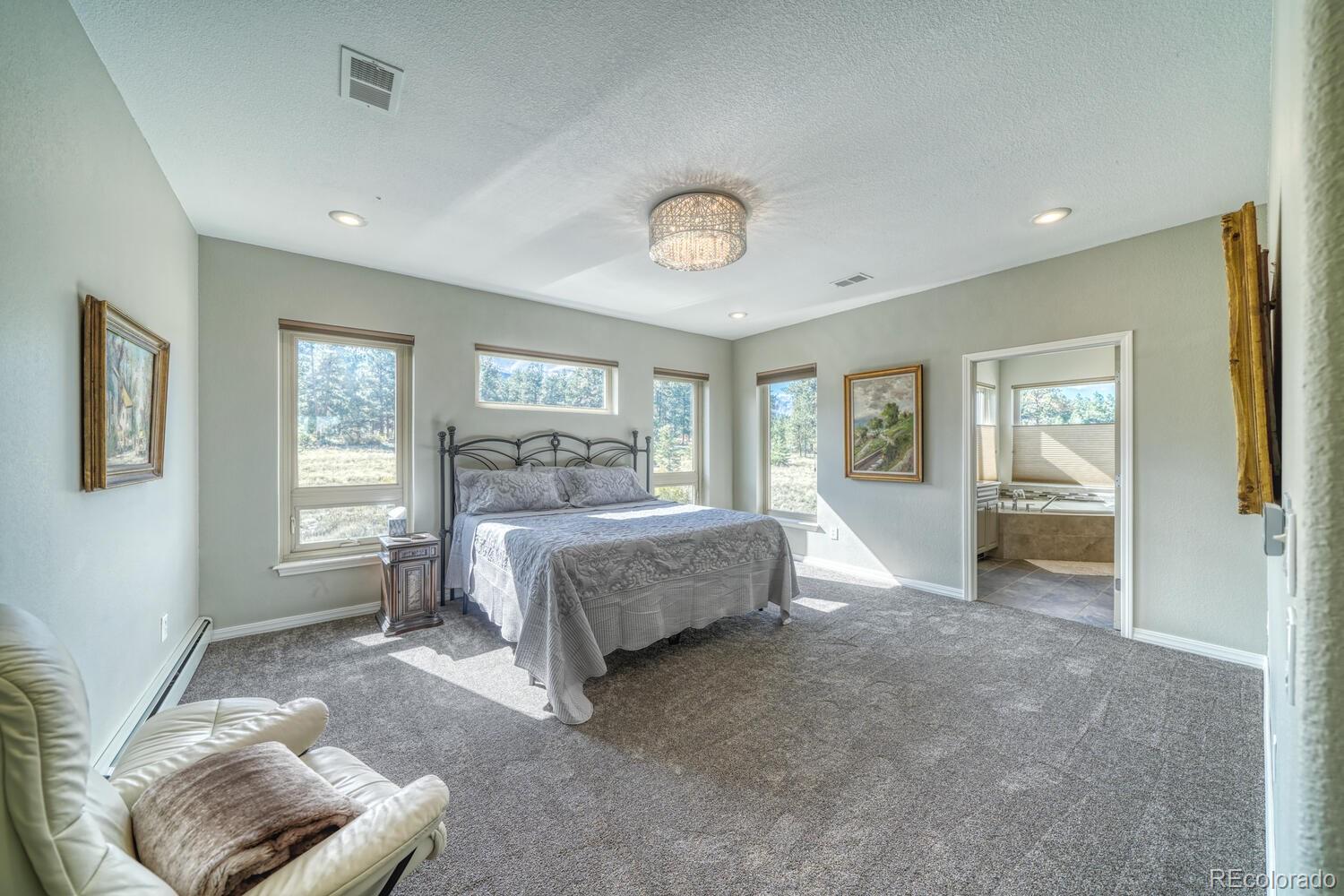 MLS Image #24 for 14701  county road 261c ,nathrop, Colorado