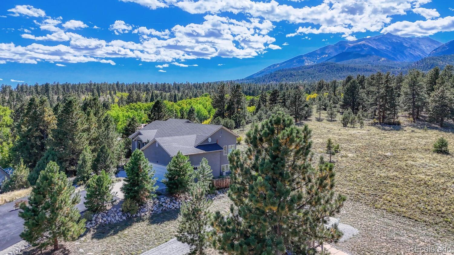 MLS Image #3 for 14701  county road 261c ,nathrop, Colorado