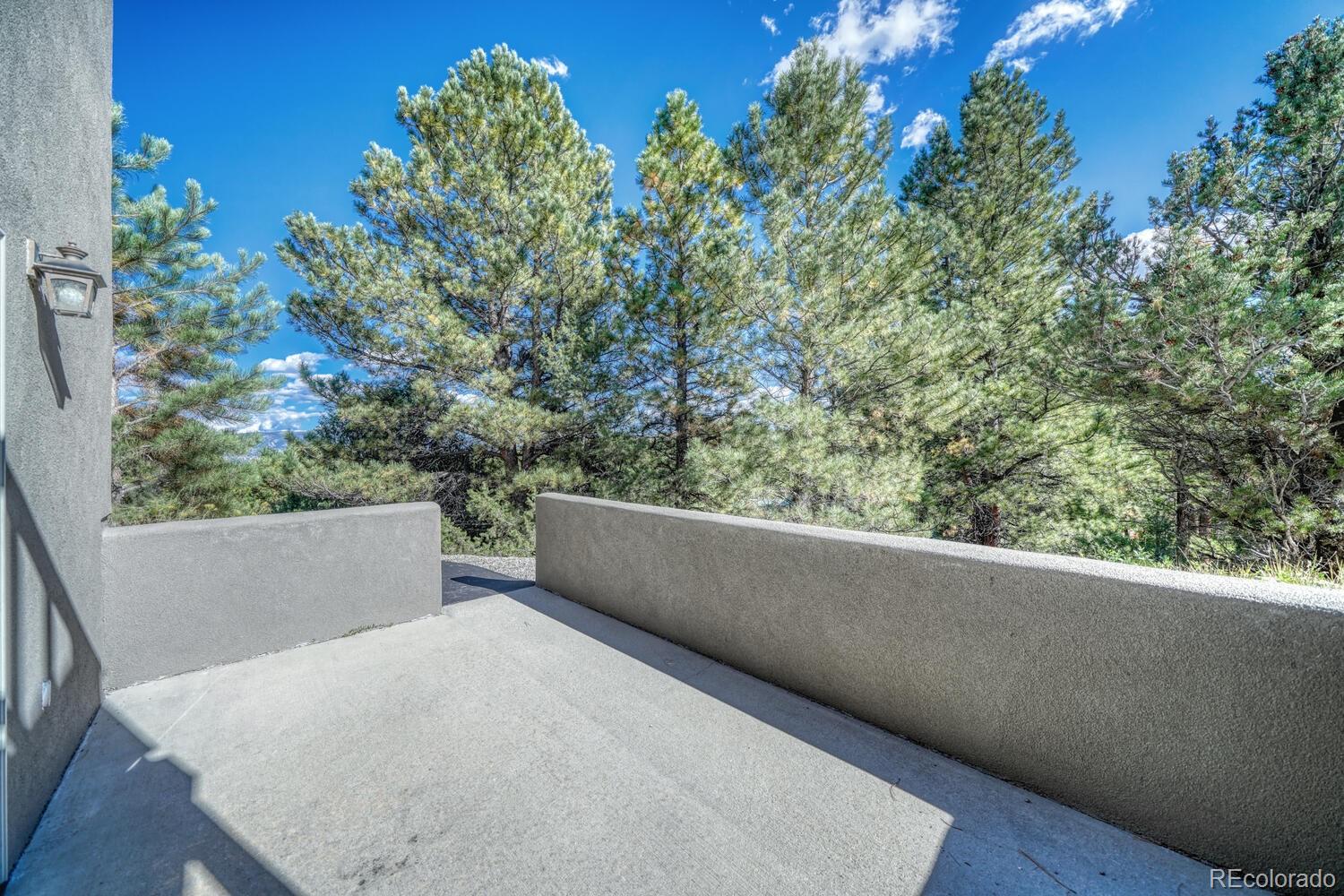 MLS Image #42 for 14701  county road 261c ,nathrop, Colorado