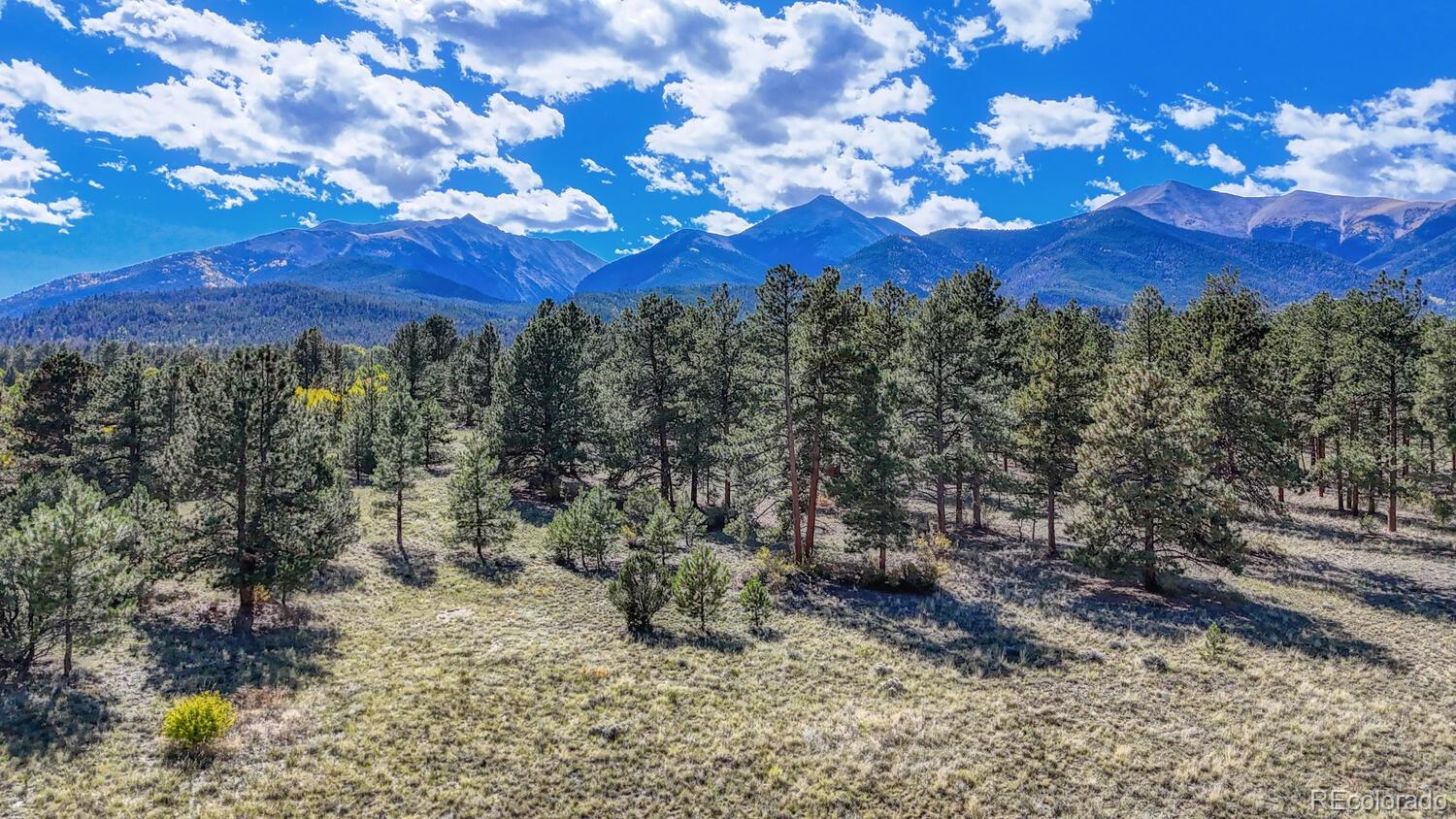 MLS Image #46 for 14701  county road 261c ,nathrop, Colorado