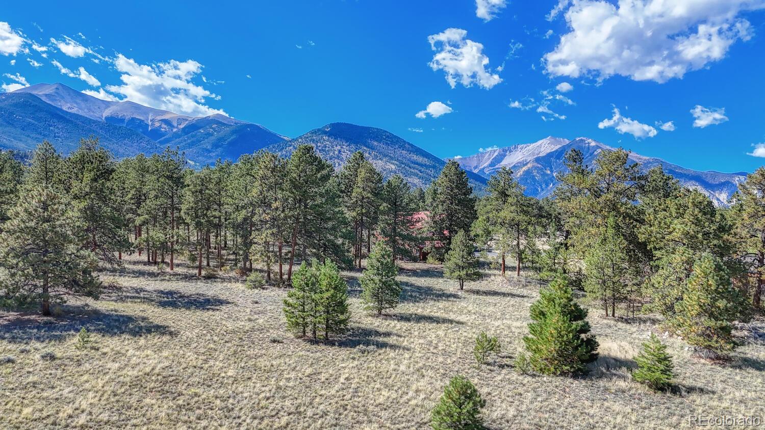 MLS Image #47 for 14701  county road 261c ,nathrop, Colorado