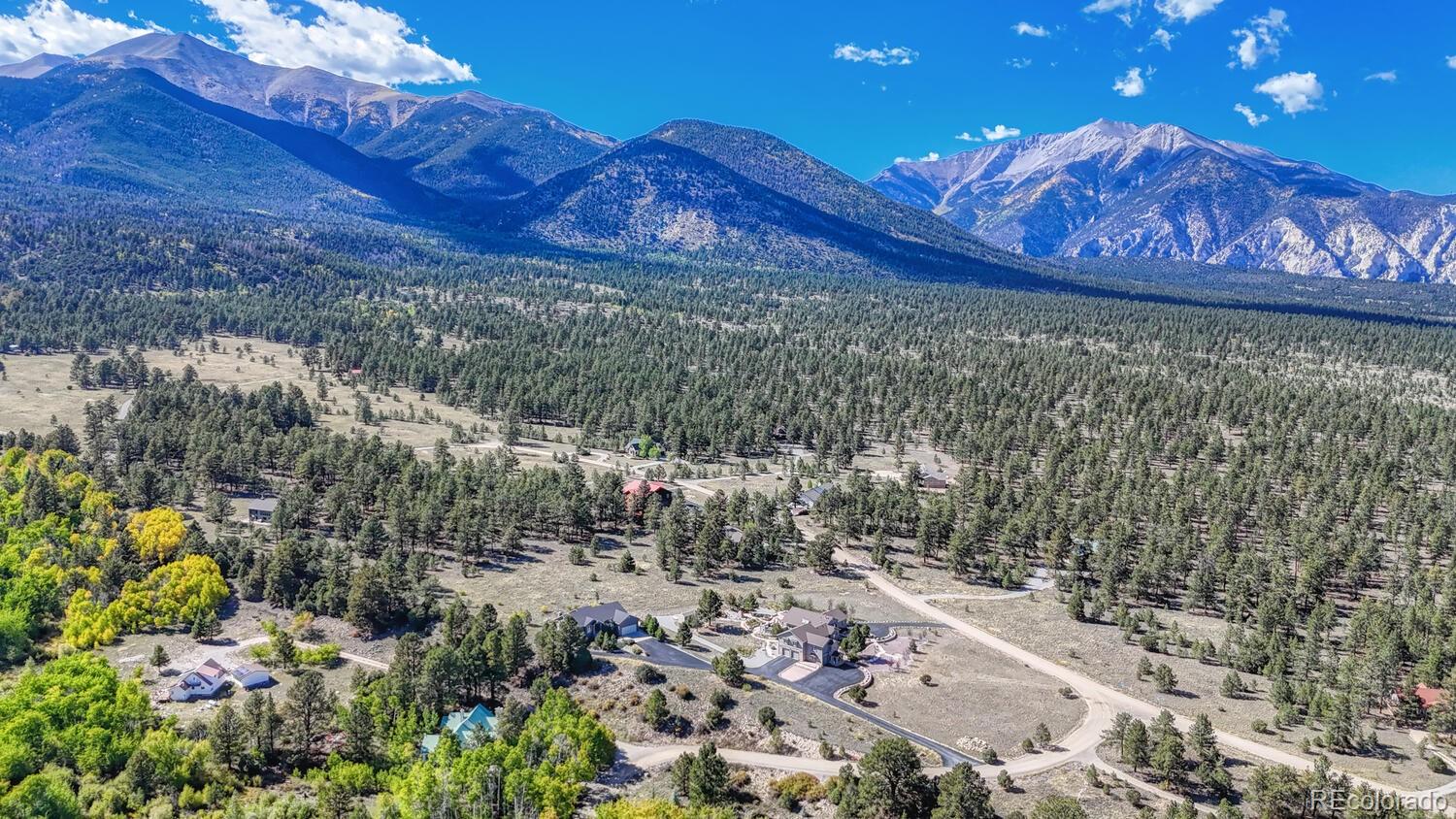 MLS Image #5 for 14701  county road 261c ,nathrop, Colorado