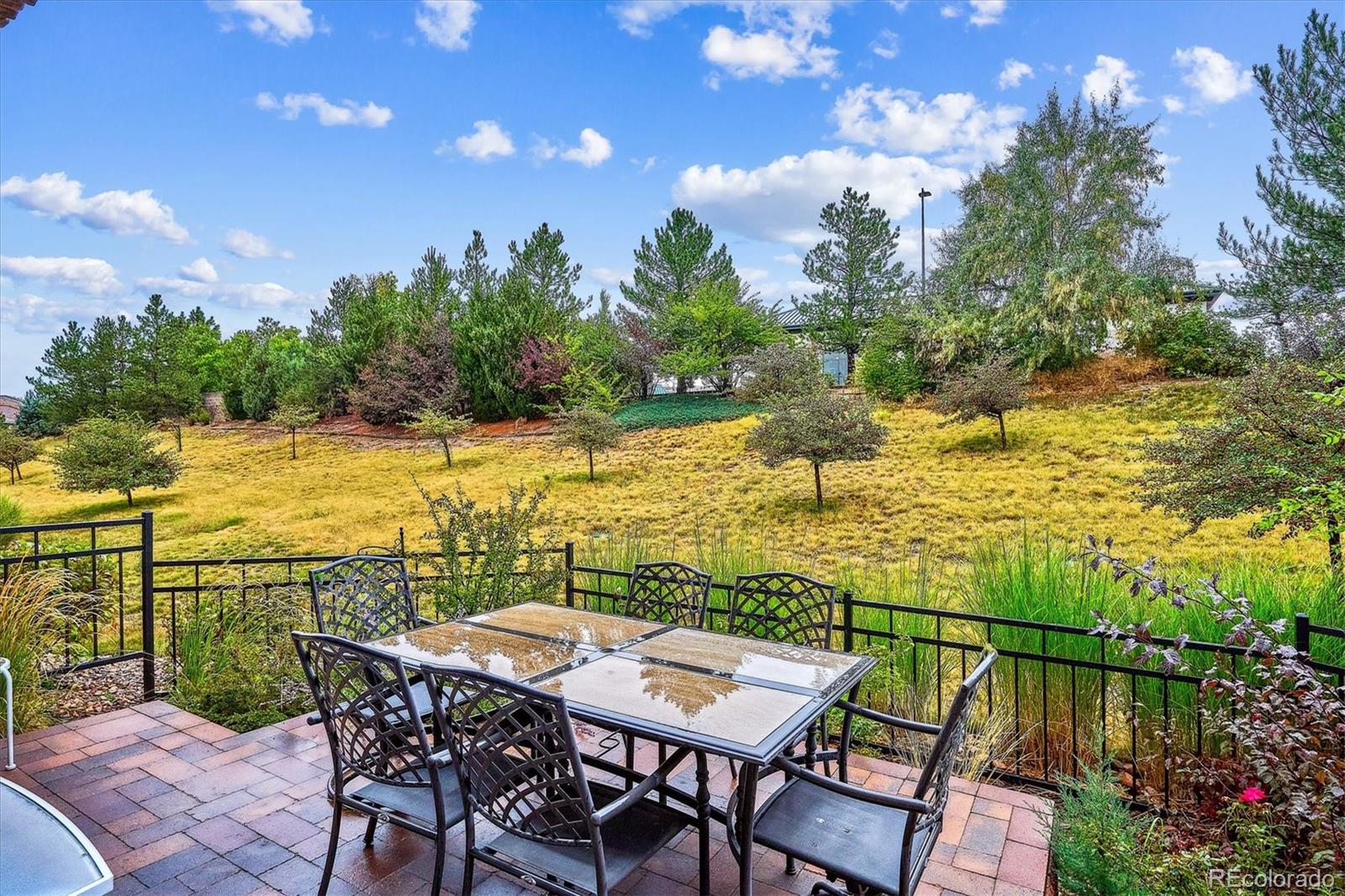 MLS Image #31 for 9518  loggia street a,highlands ranch, Colorado