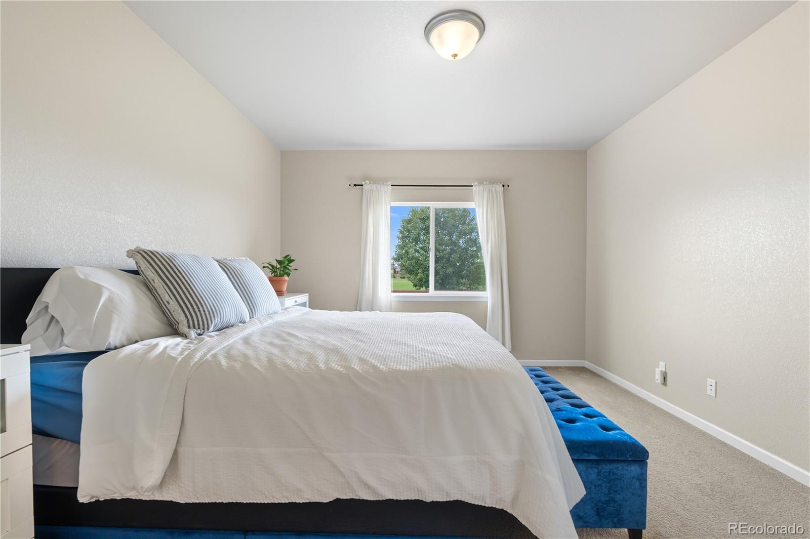 MLS Image #16 for 1224  sunrise circle,milliken, Colorado