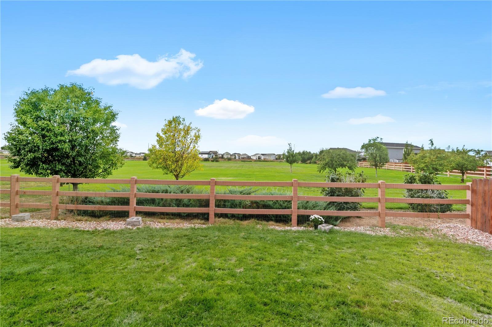 MLS Image #32 for 1224  sunrise circle,milliken, Colorado