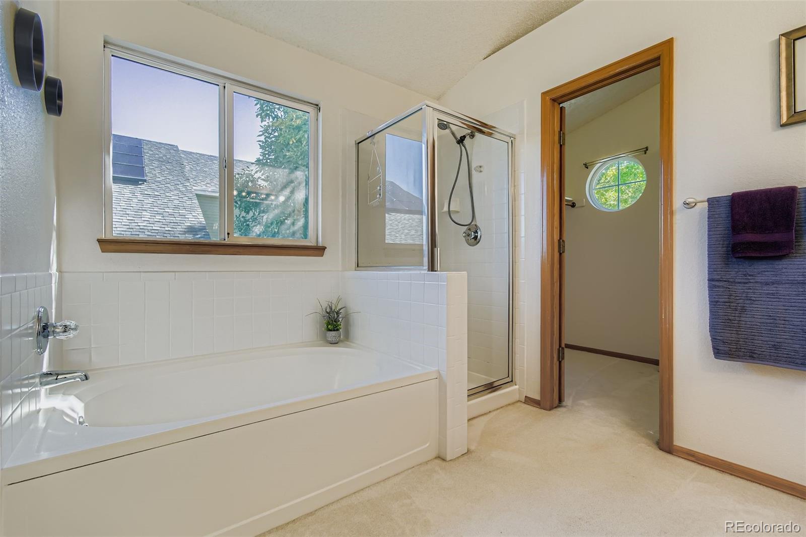 MLS Image #19 for 6563 w 96th place,westminster, Colorado