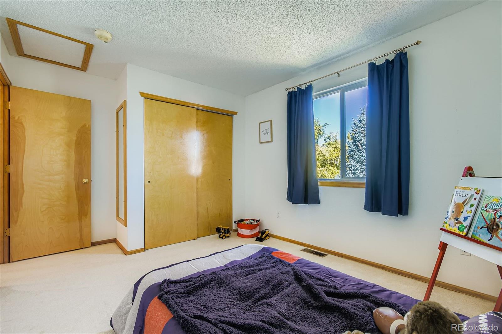 MLS Image #23 for 6563 w 96th place,westminster, Colorado