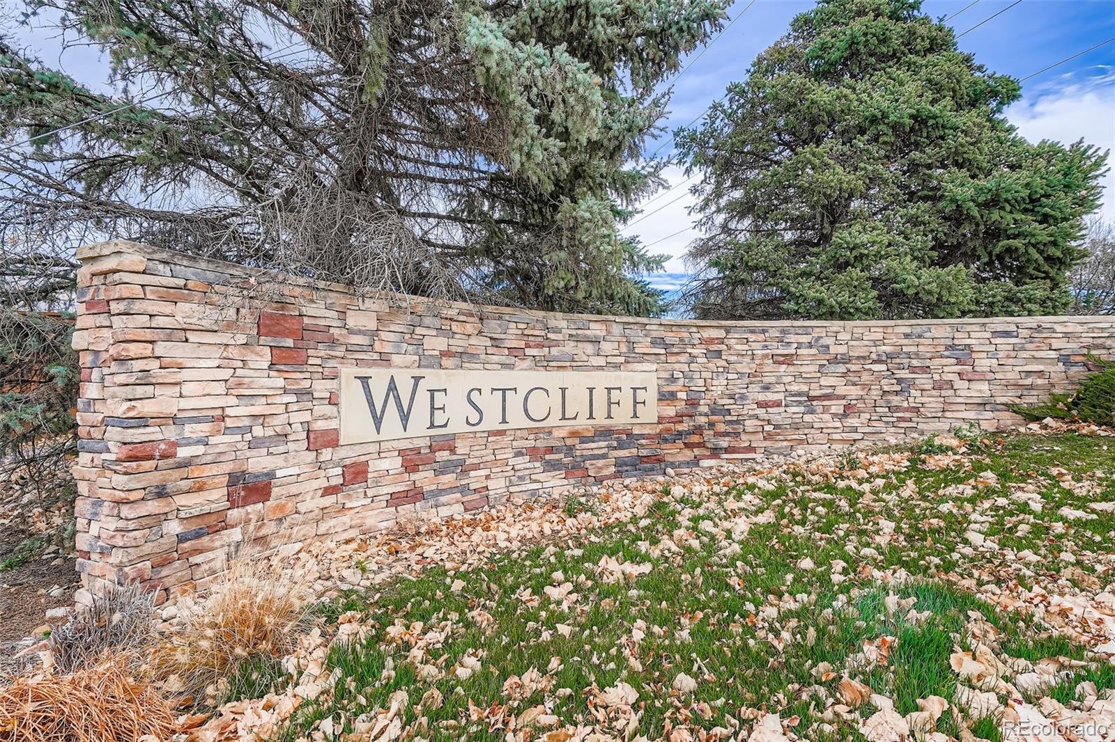 MLS Image #32 for 6563 w 96th place,westminster, Colorado