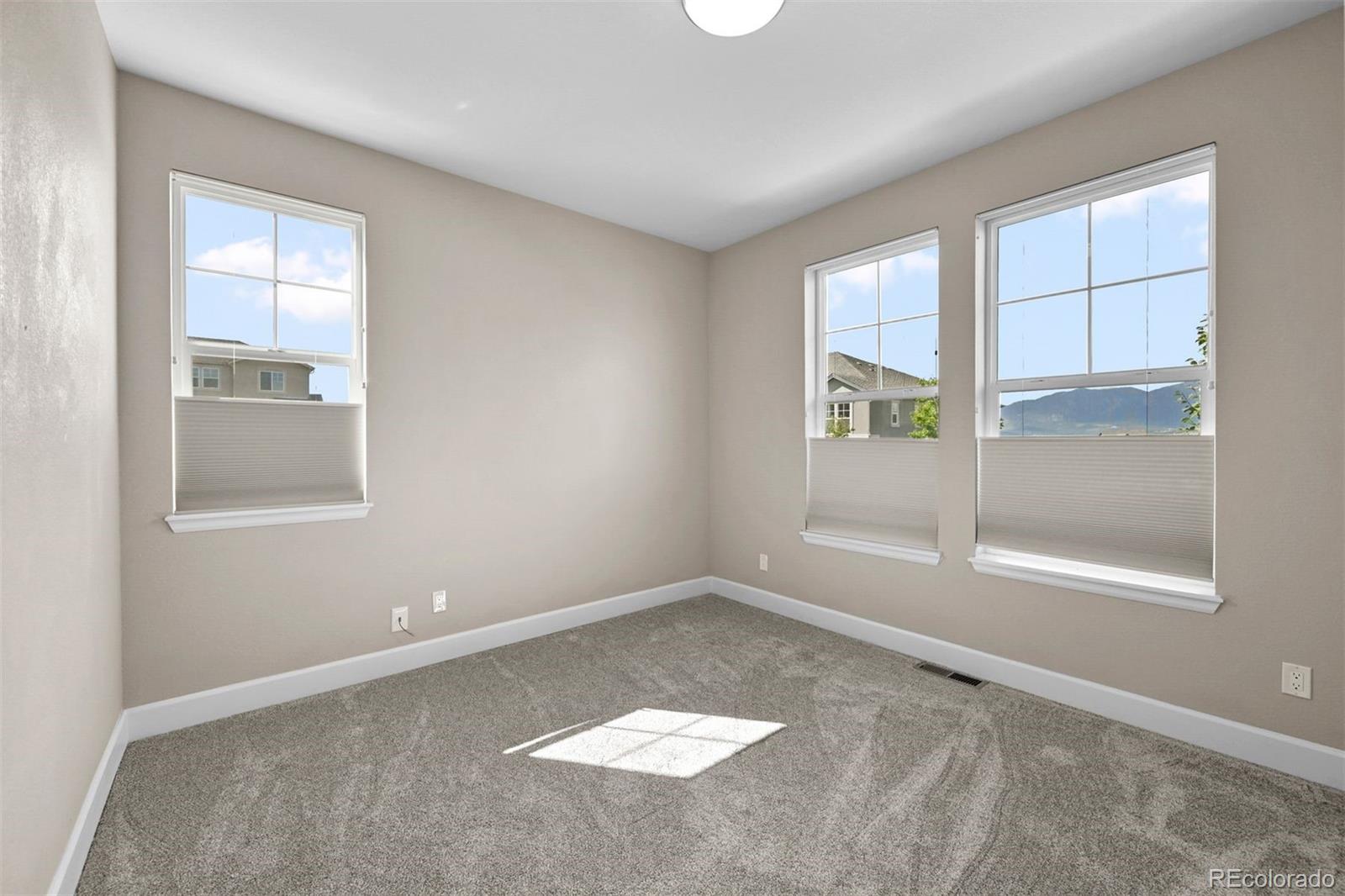 MLS Image #19 for 1354  promontory bluff view,colorado springs, Colorado