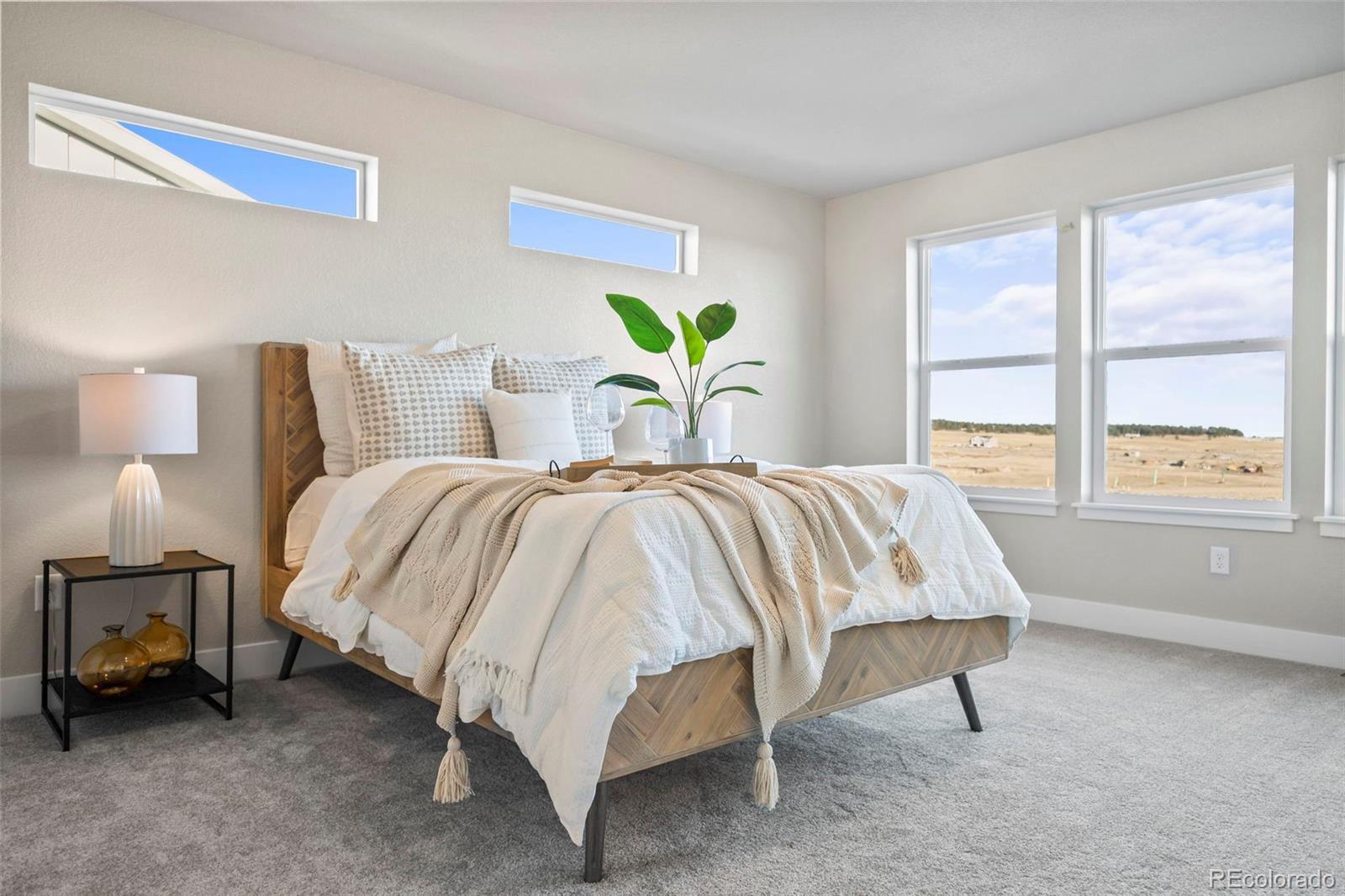 MLS Image #16 for 6429  deco drive,colorado springs, Colorado