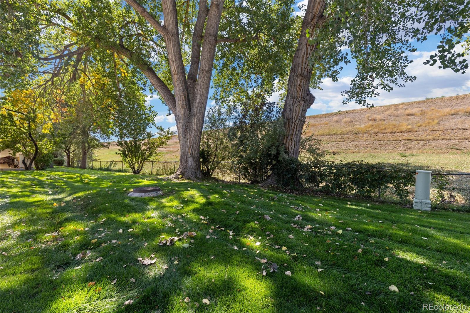 MLS Image #21 for 1659 s lee street b,lakewood, Colorado