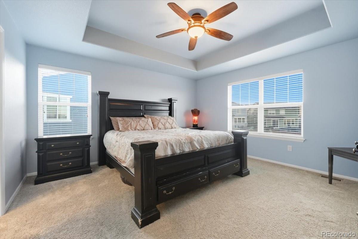 MLS Image #5 for 10539  casper point,parker, Colorado