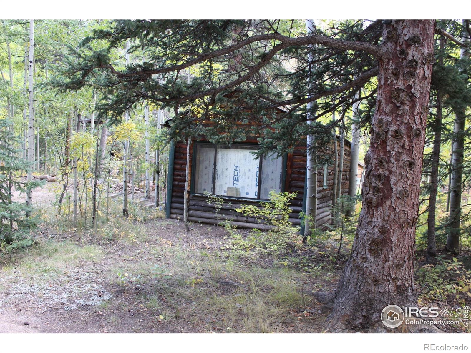 MLS Image #6 for 223  riverside drive,lyons, Colorado