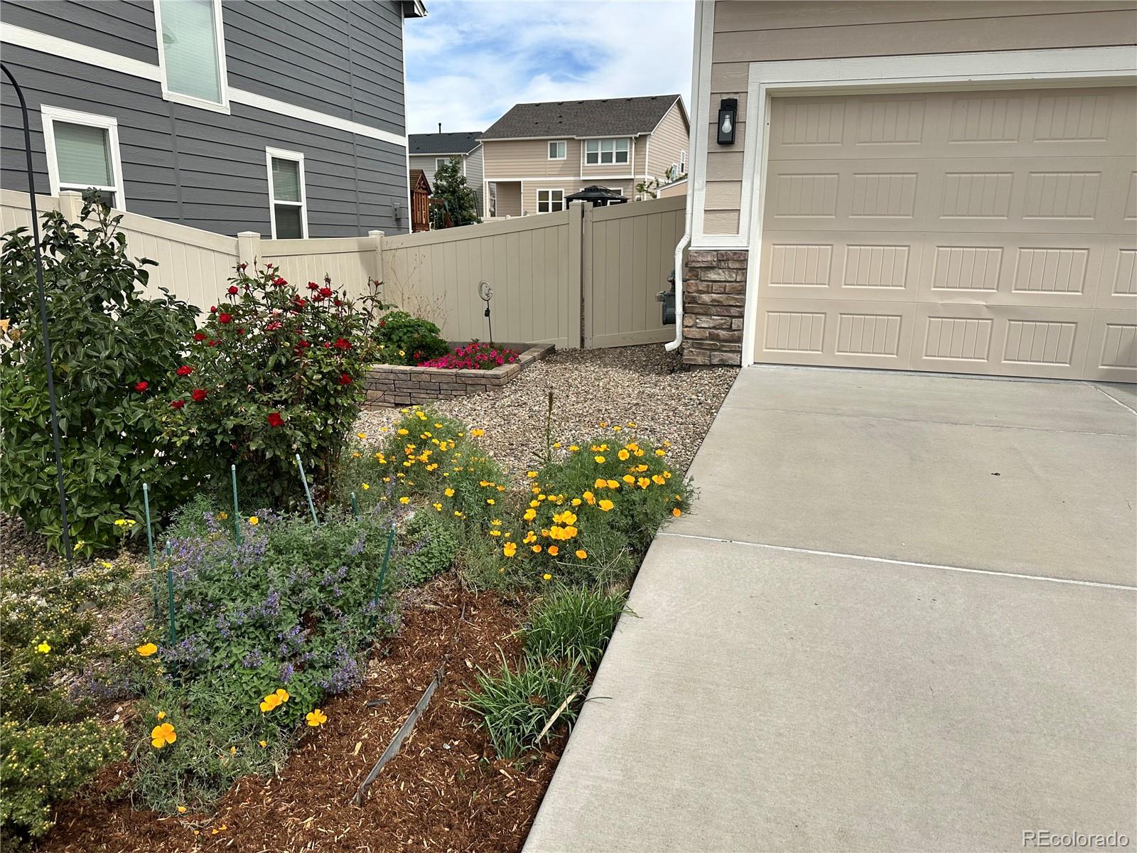 MLS Image #4 for 10747  hidden prairie parkway,fountain, Colorado