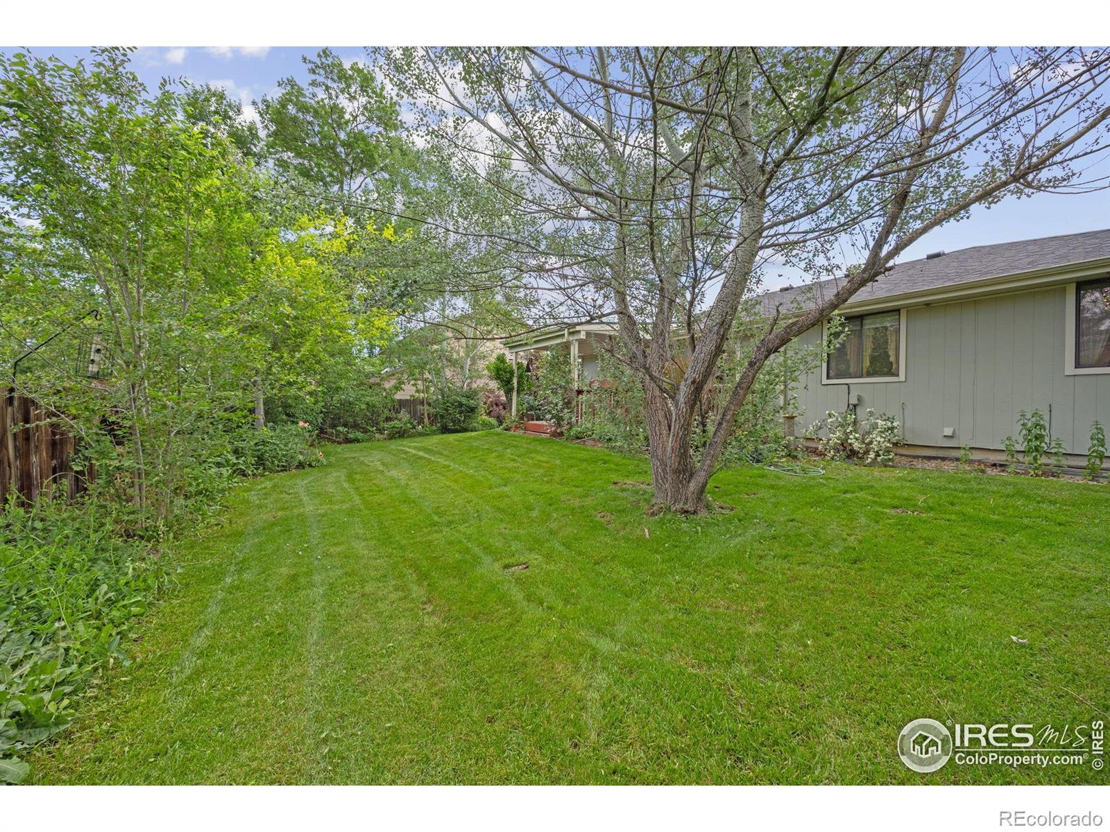 MLS Image #22 for 2871  humboldt circle,longmont, Colorado