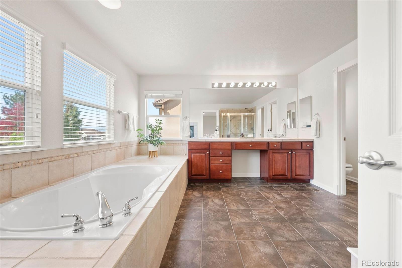 MLS Image #14 for 2996  danbury avenue,highlands ranch, Colorado