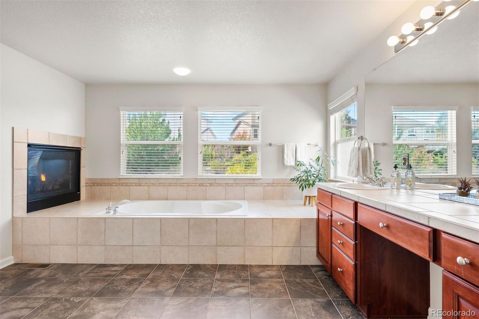 MLS Image #15 for 2996  danbury avenue,highlands ranch, Colorado