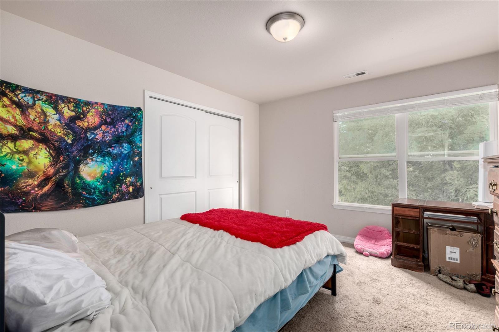 MLS Image #19 for 2034  lillian way,colorado springs, Colorado