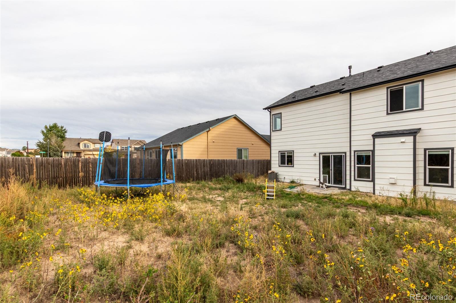 MLS Image #24 for 2034  lillian way,colorado springs, Colorado