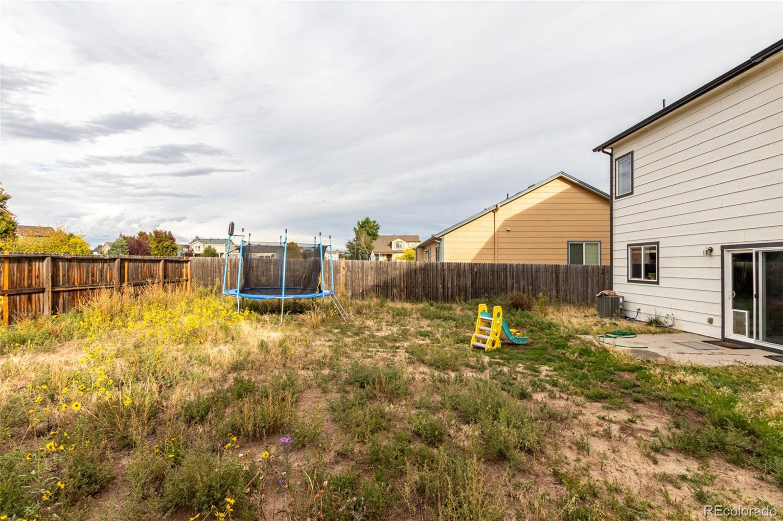 MLS Image #26 for 2034  lillian way,colorado springs, Colorado
