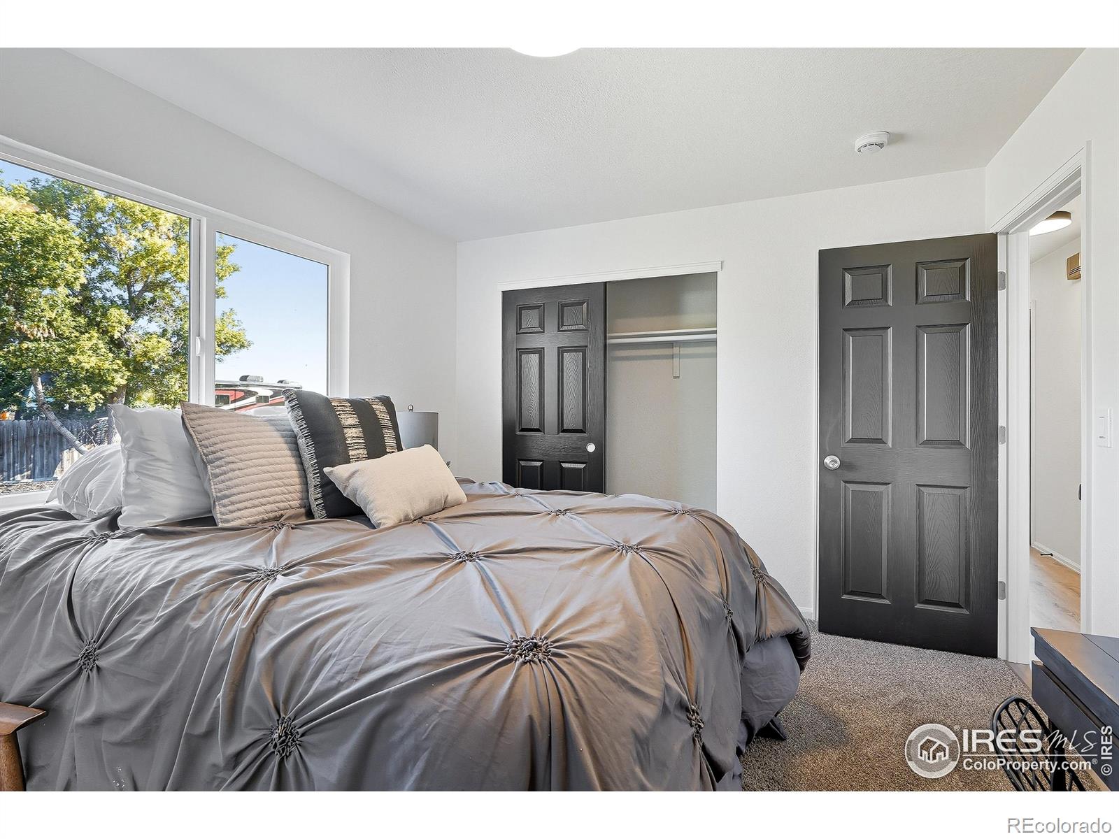 MLS Image #14 for 381 e mountain ash street,milliken, Colorado