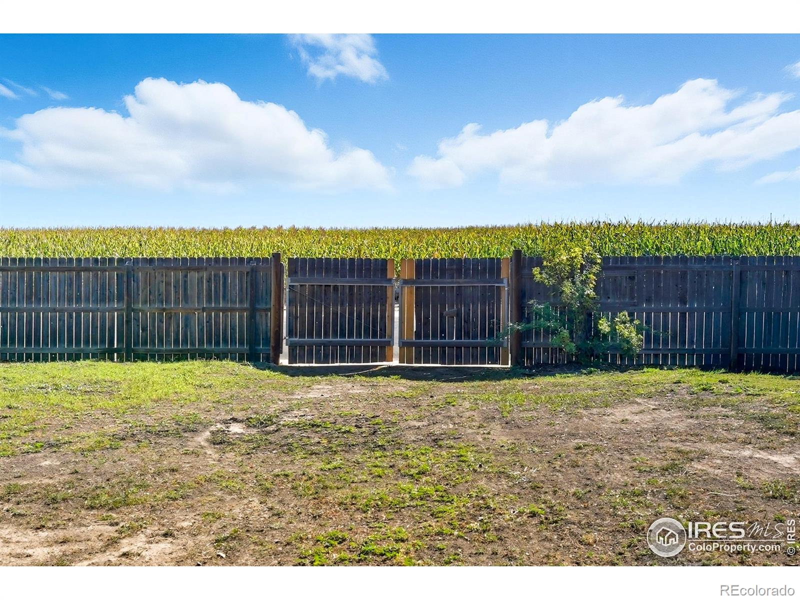 MLS Image #28 for 381 e mountain ash street,milliken, Colorado