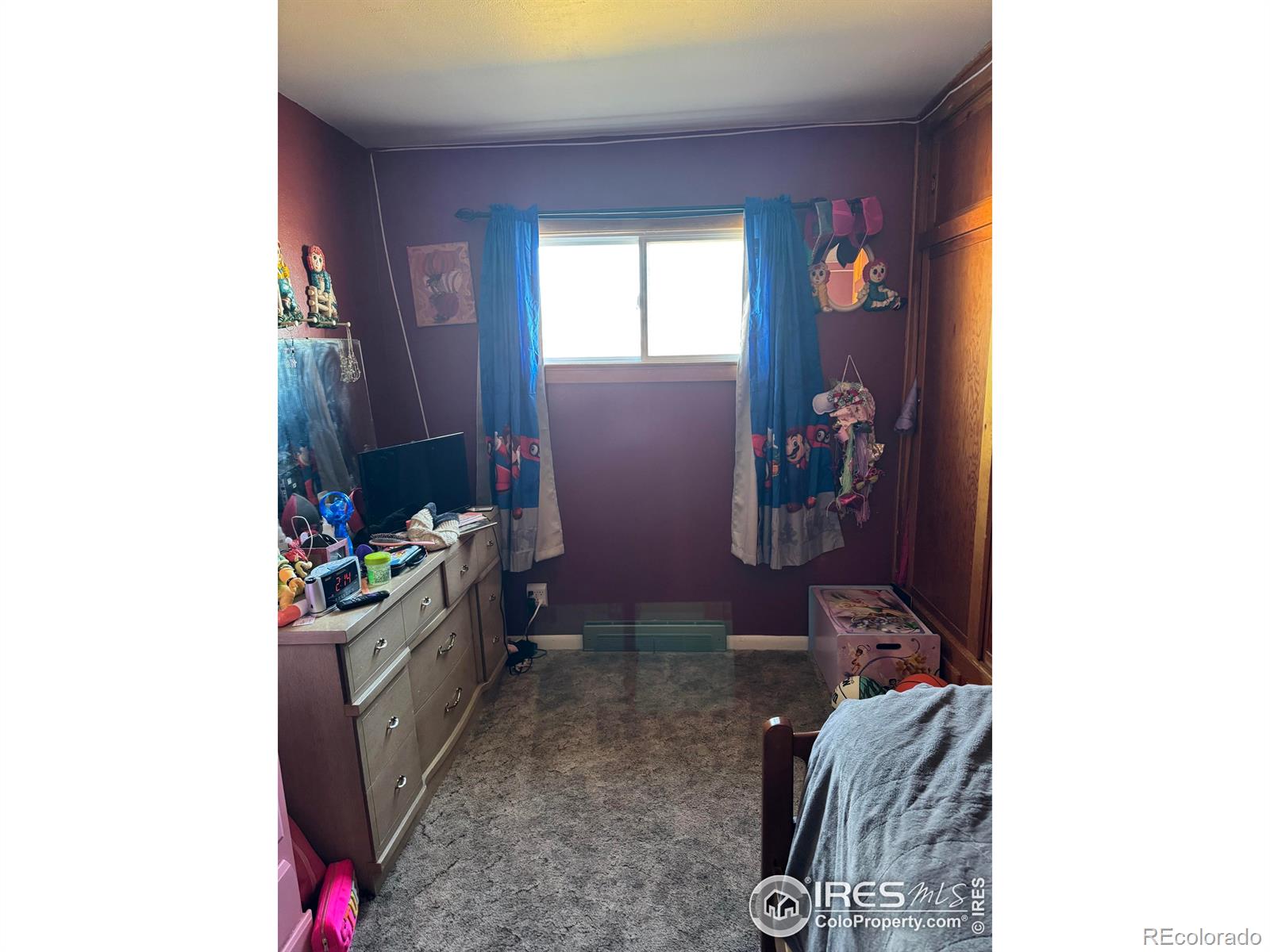 MLS Image #19 for 18807  county road p road,kit carson, Colorado