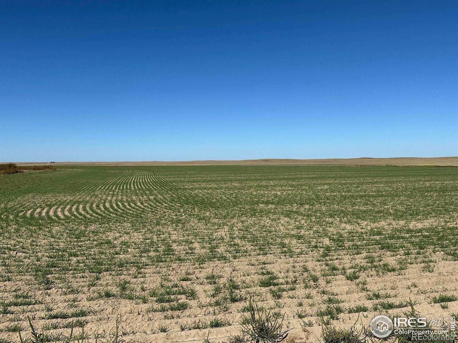 MLS Image #28 for 18807  county road p road,kit carson, Colorado