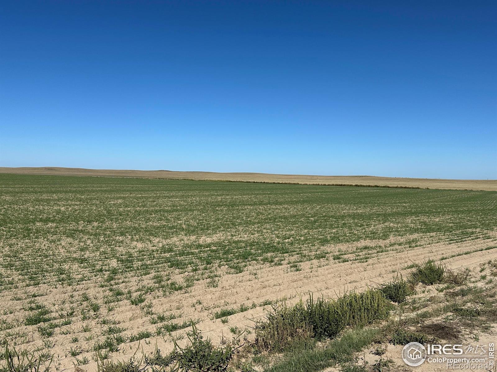 MLS Image #29 for 18807  county road p road,kit carson, Colorado