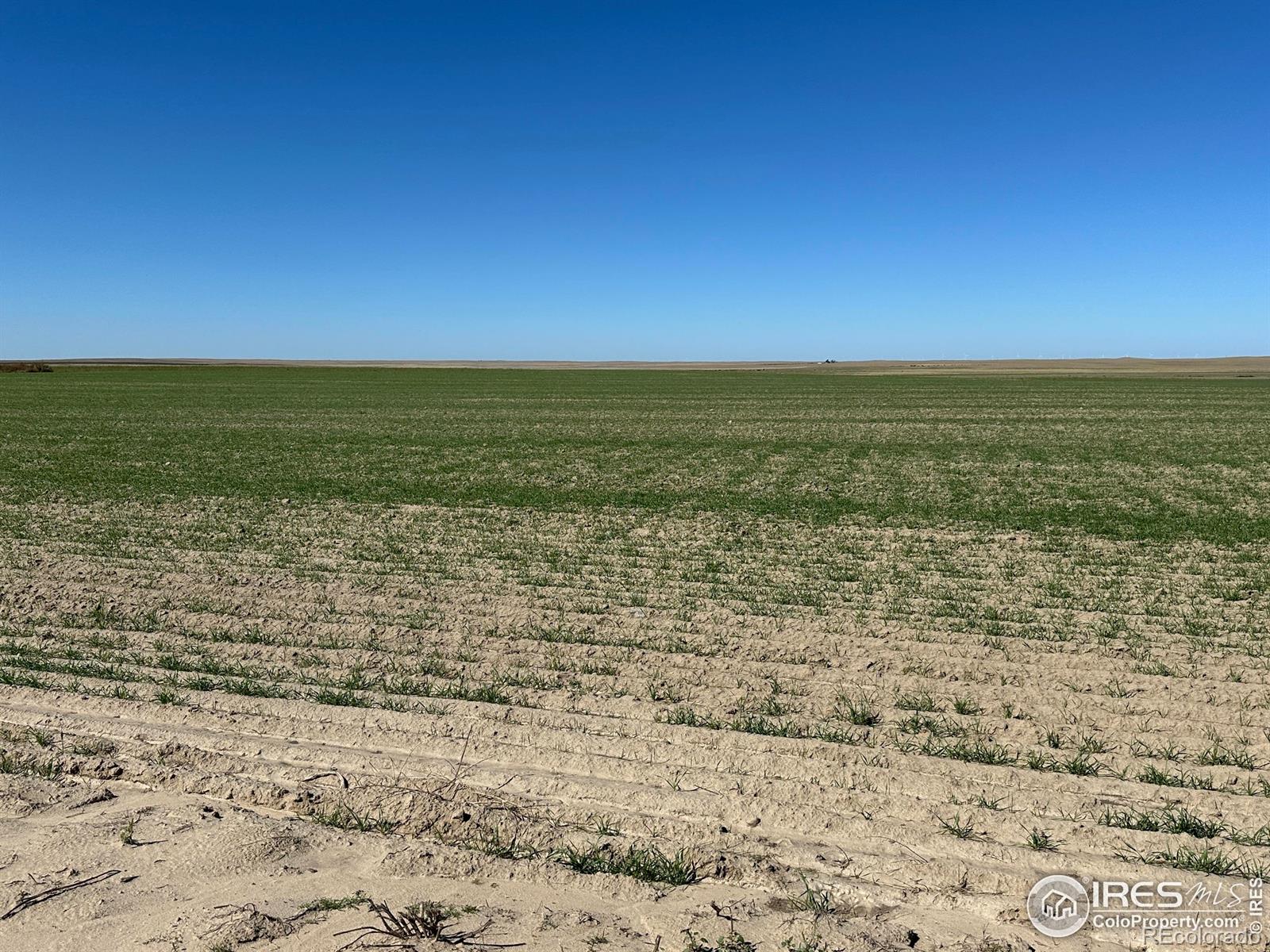 MLS Image #31 for 18807  county road p road,kit carson, Colorado