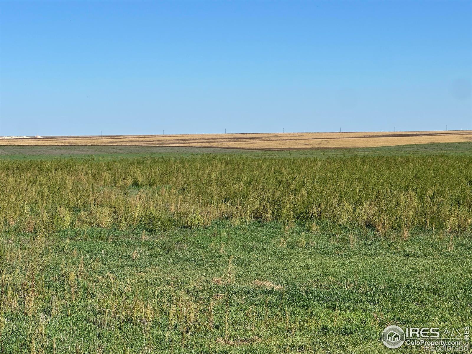 MLS Image #32 for 18807  county road p road,kit carson, Colorado