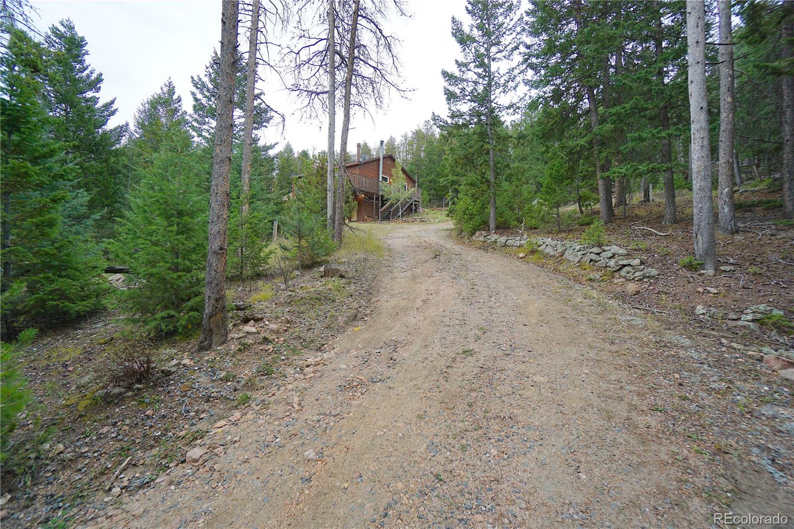 MLS Image #10 for 6842  snowshoe trail,evergreen, Colorado