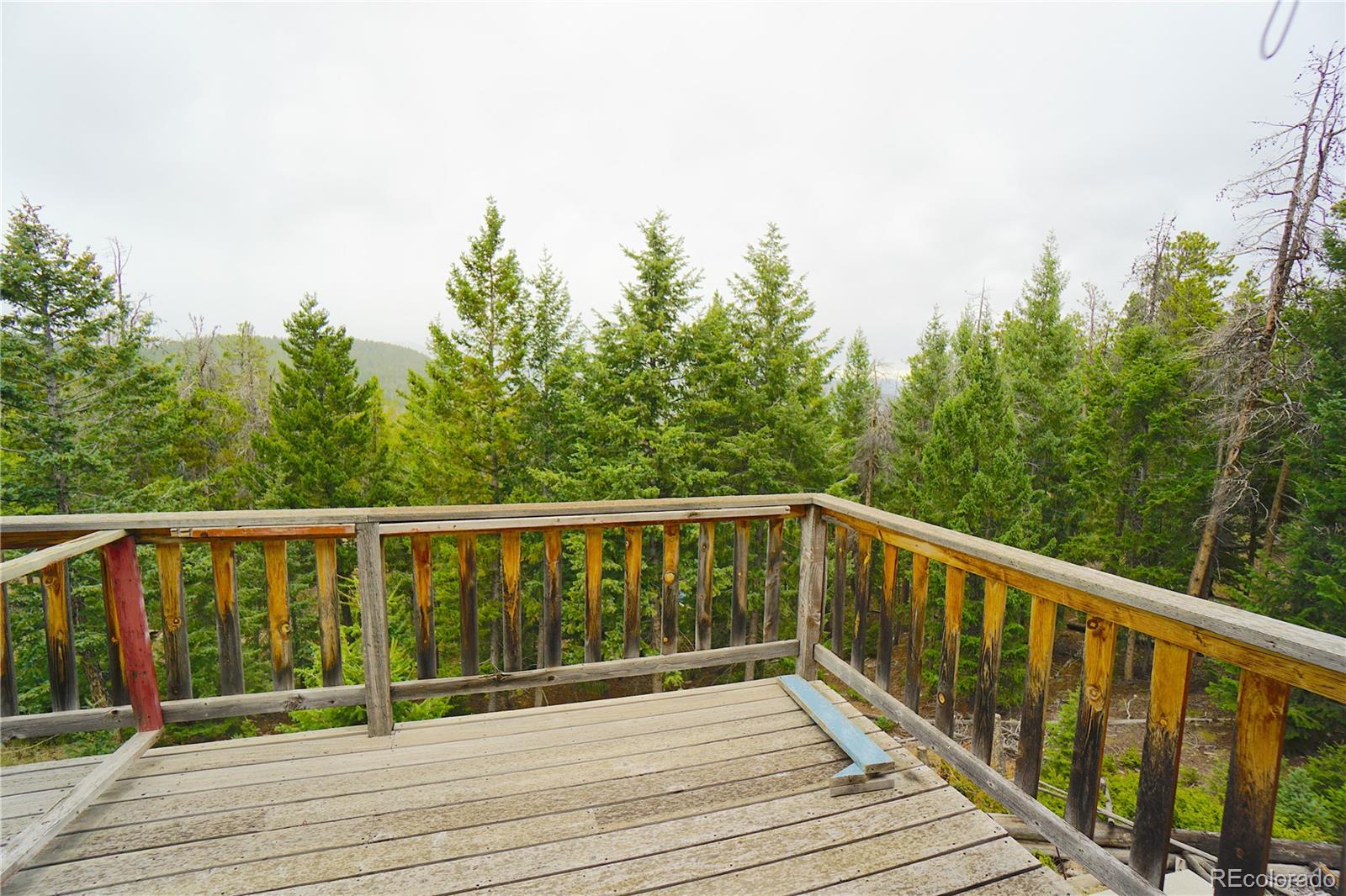 MLS Image #19 for 6842  snowshoe trail,evergreen, Colorado