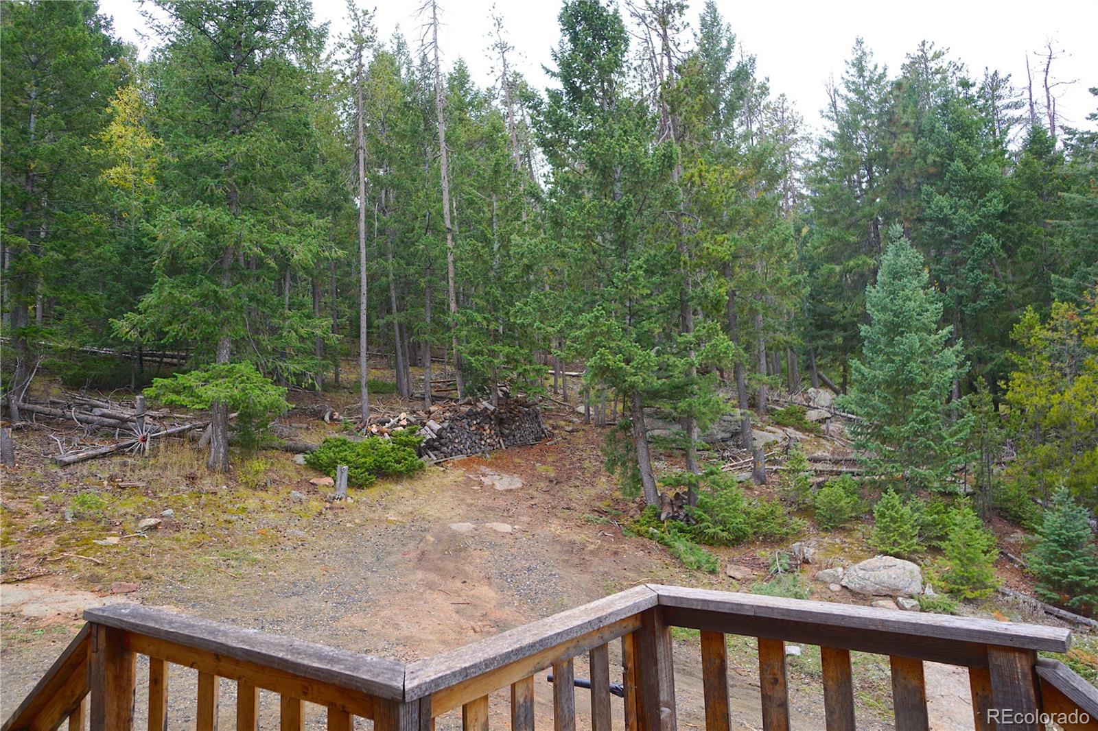 MLS Image #21 for 6842  snowshoe trail,evergreen, Colorado