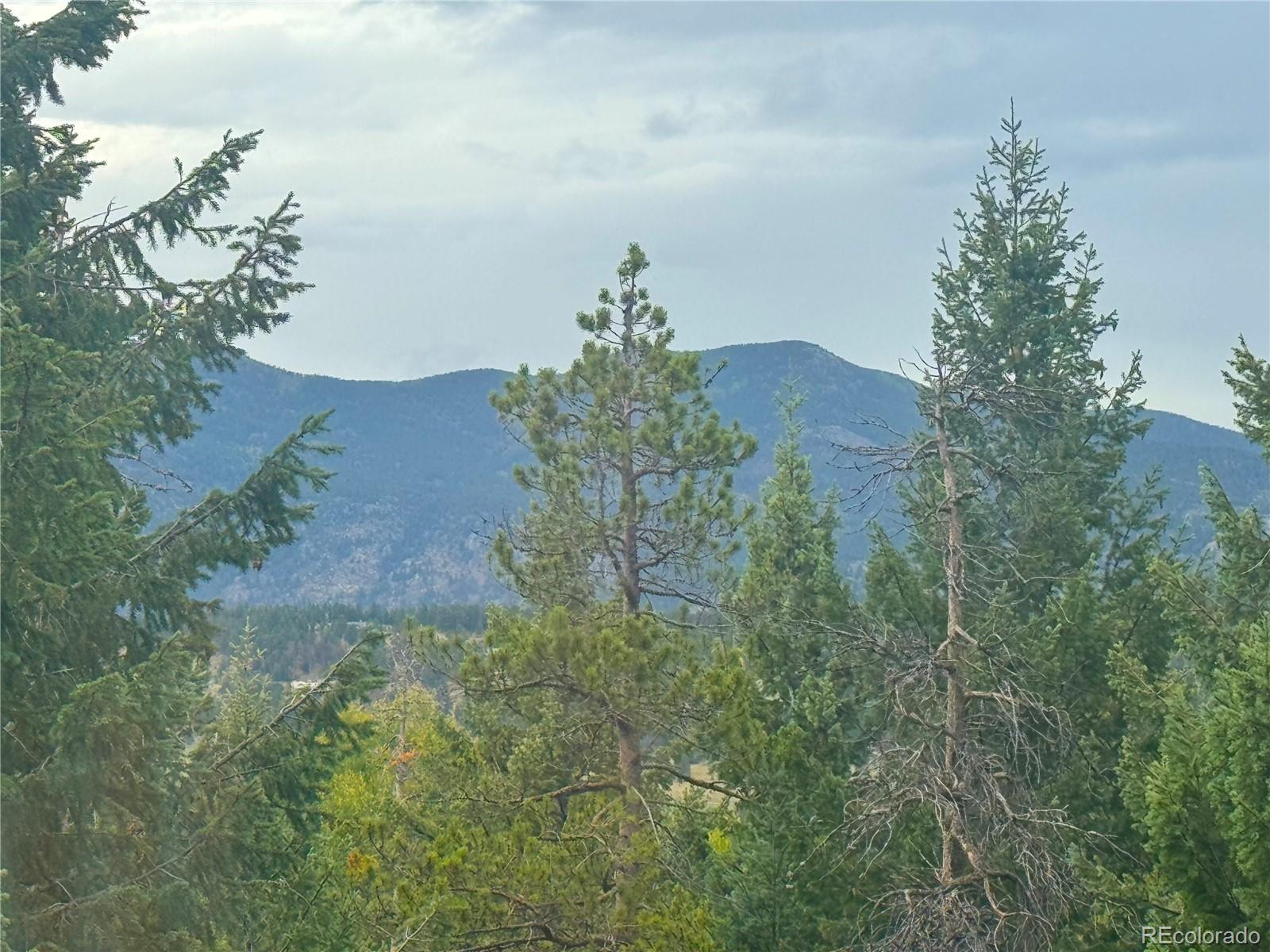 MLS Image #35 for 6842  snowshoe trail,evergreen, Colorado