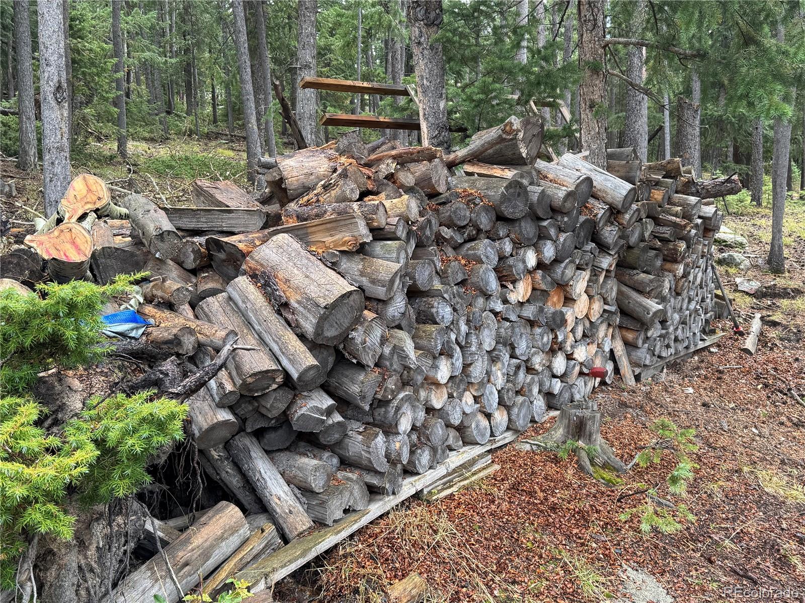 MLS Image #38 for 6842  snowshoe trail,evergreen, Colorado