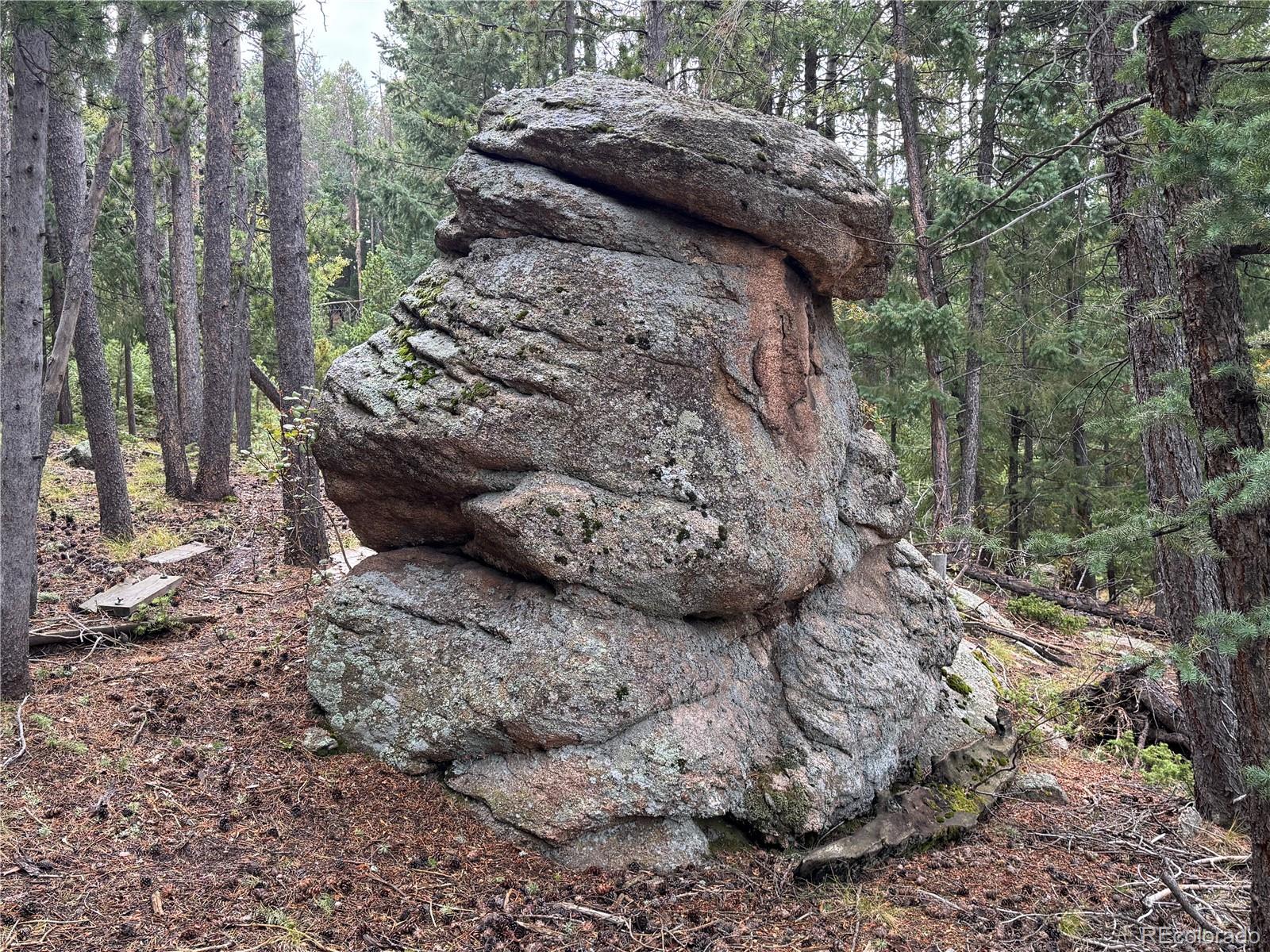 MLS Image #39 for 6842  snowshoe trail,evergreen, Colorado