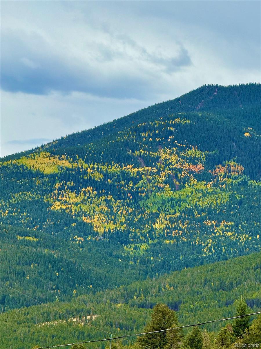 MLS Image #40 for 6842  snowshoe trail,evergreen, Colorado