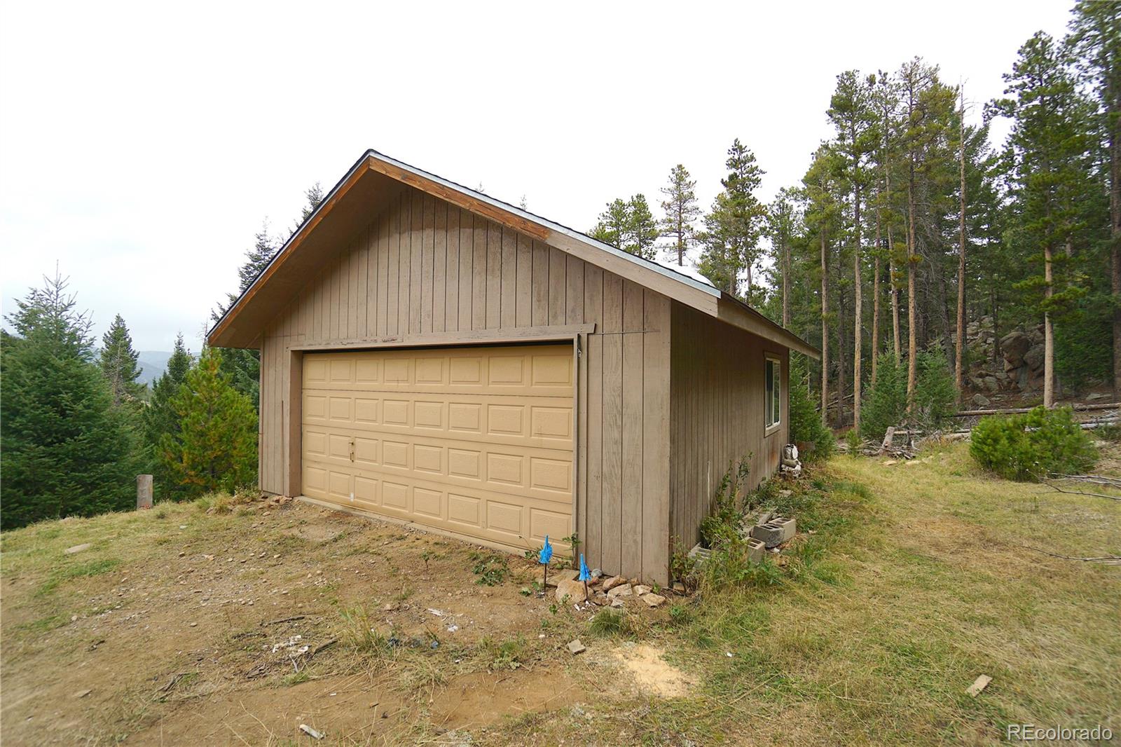 MLS Image #6 for 6842  snowshoe trail,evergreen, Colorado