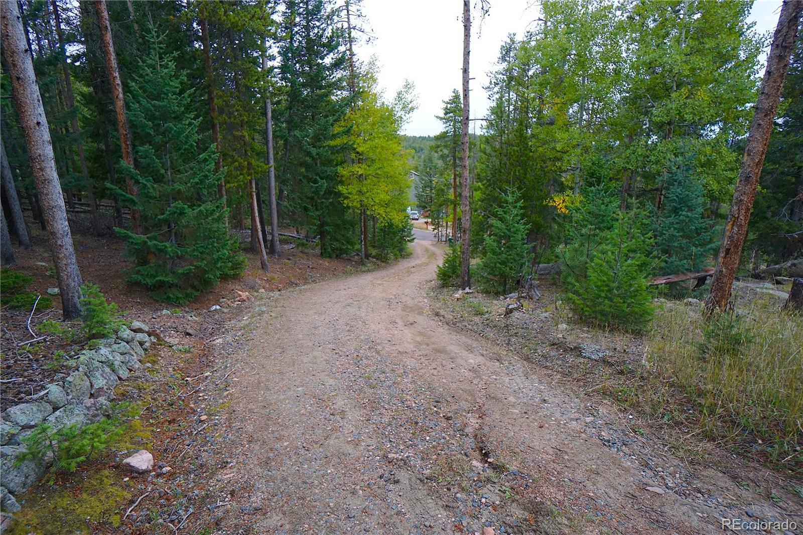 MLS Image #9 for 6842  snowshoe trail,evergreen, Colorado