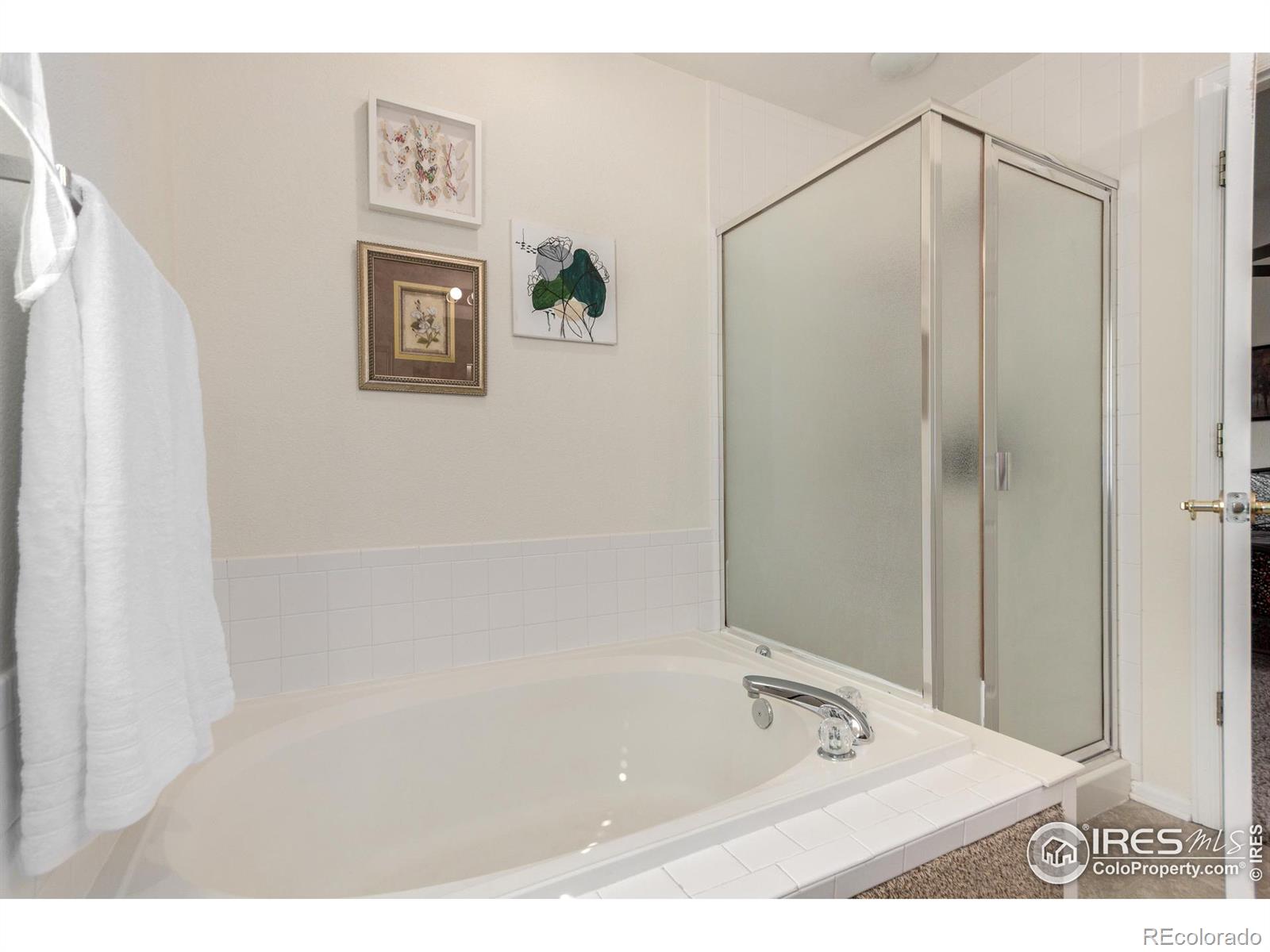 MLS Image #24 for 13758  cook street,thornton, Colorado
