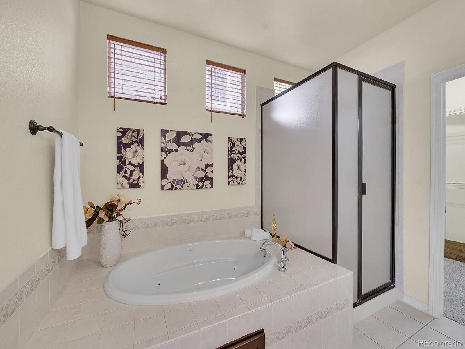 MLS Image #20 for 21975 e idyllwilde drive,parker, Colorado