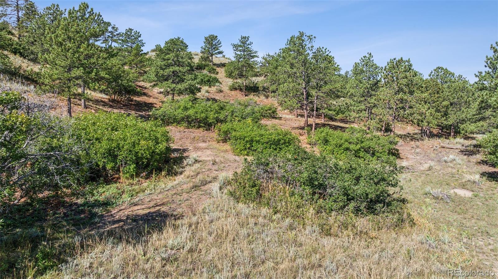 MLS Image #29 for 352  waco court,colorado springs, Colorado