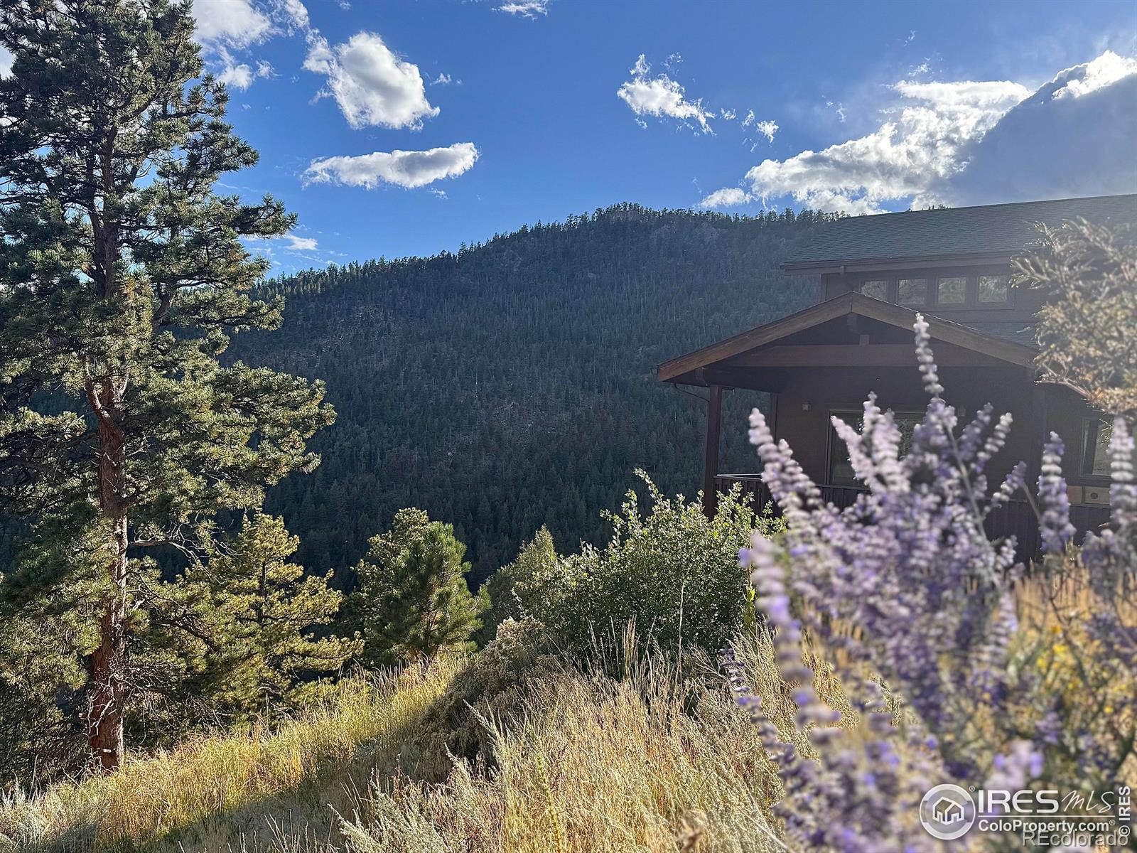 MLS Image #45 for 575  bulwark ridge drive,glen haven, Colorado