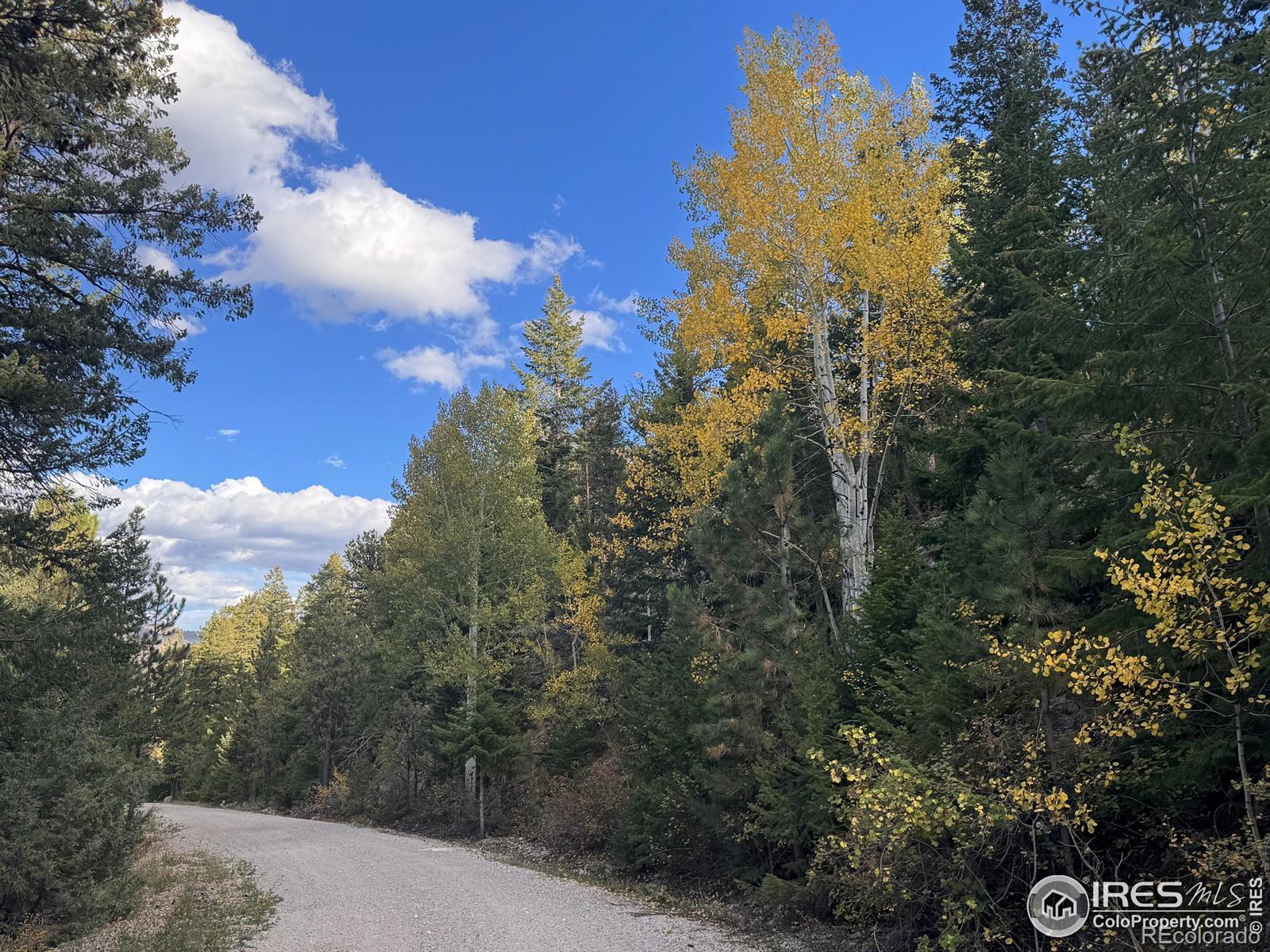 MLS Image #46 for 575  bulwark ridge drive,glen haven, Colorado