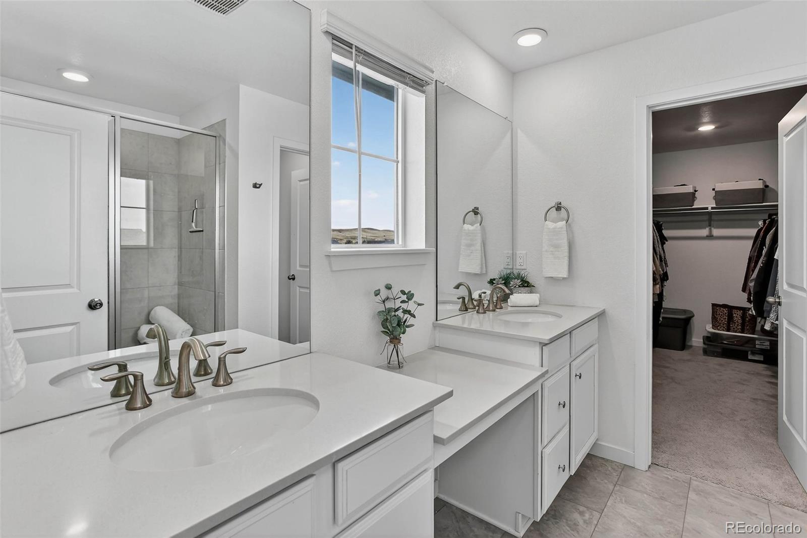 MLS Image #29 for 8102  mt lincoln road,littleton, Colorado