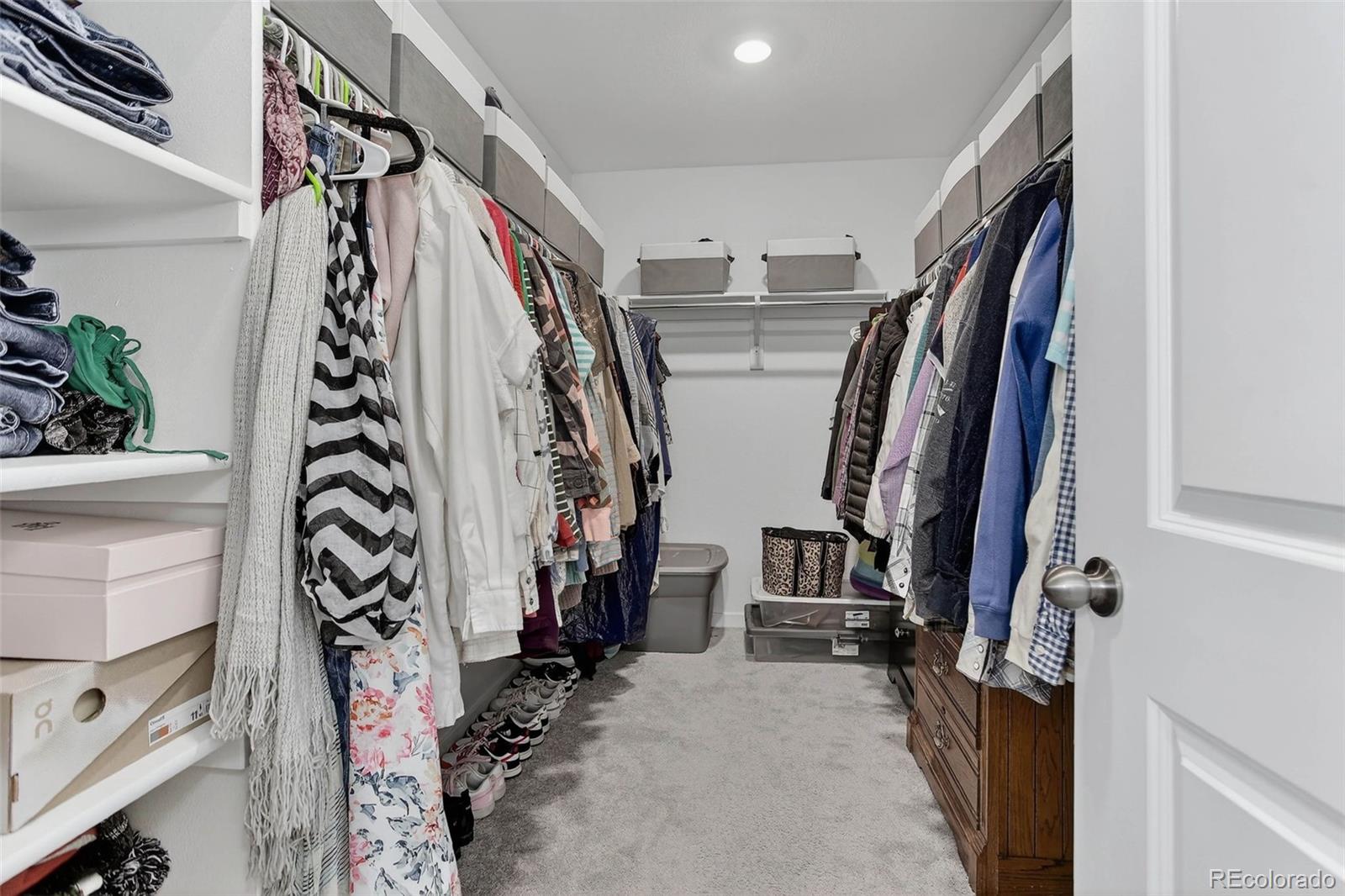 MLS Image #30 for 8102  mt lincoln road,littleton, Colorado