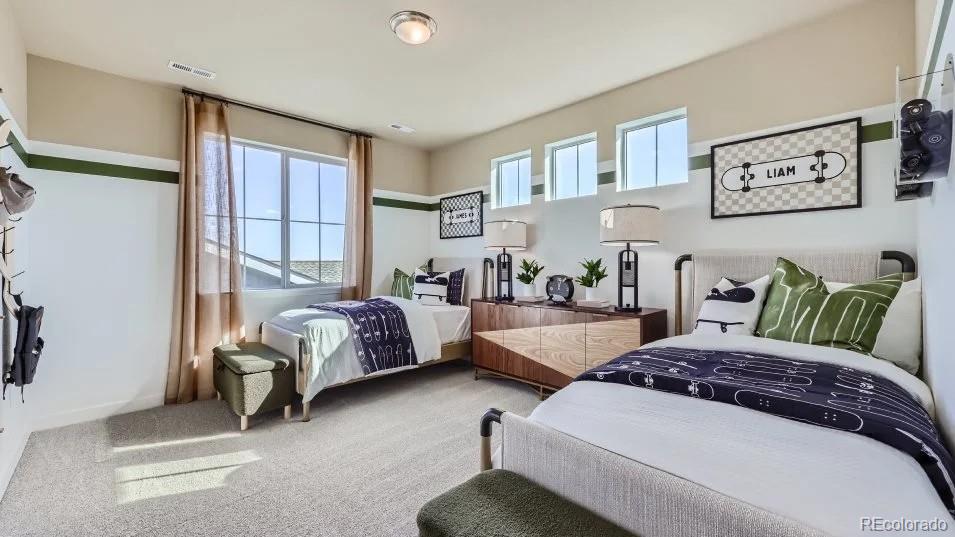 MLS Image #5 for 4250  descent street,castle rock, Colorado