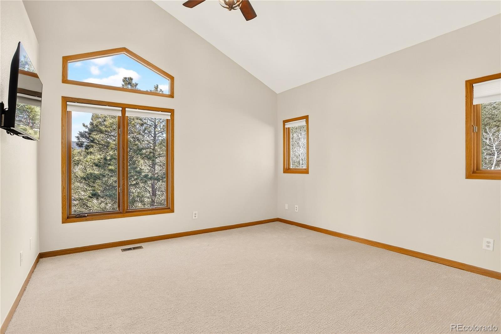 MLS Image #14 for 9758  fallen rock road,conifer, Colorado