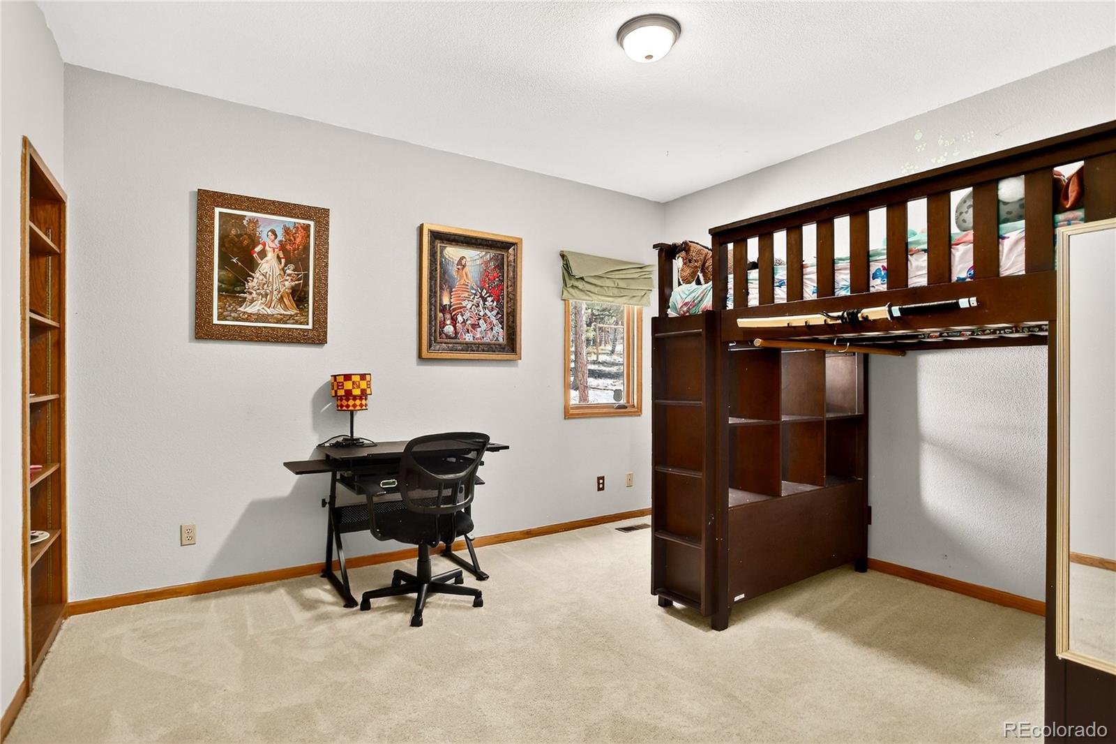 MLS Image #20 for 9758  fallen rock road,conifer, Colorado